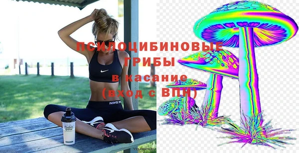 сатива Сафоново