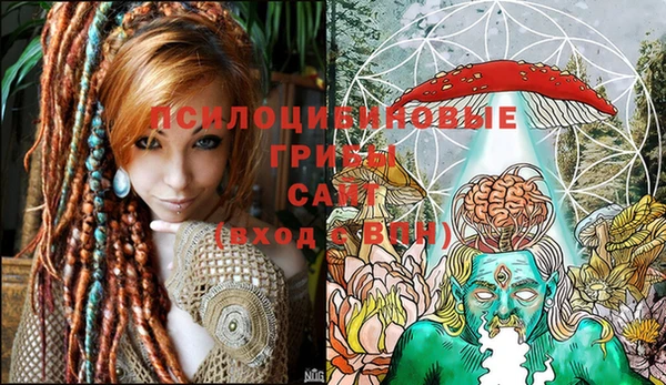 тгк Сатка